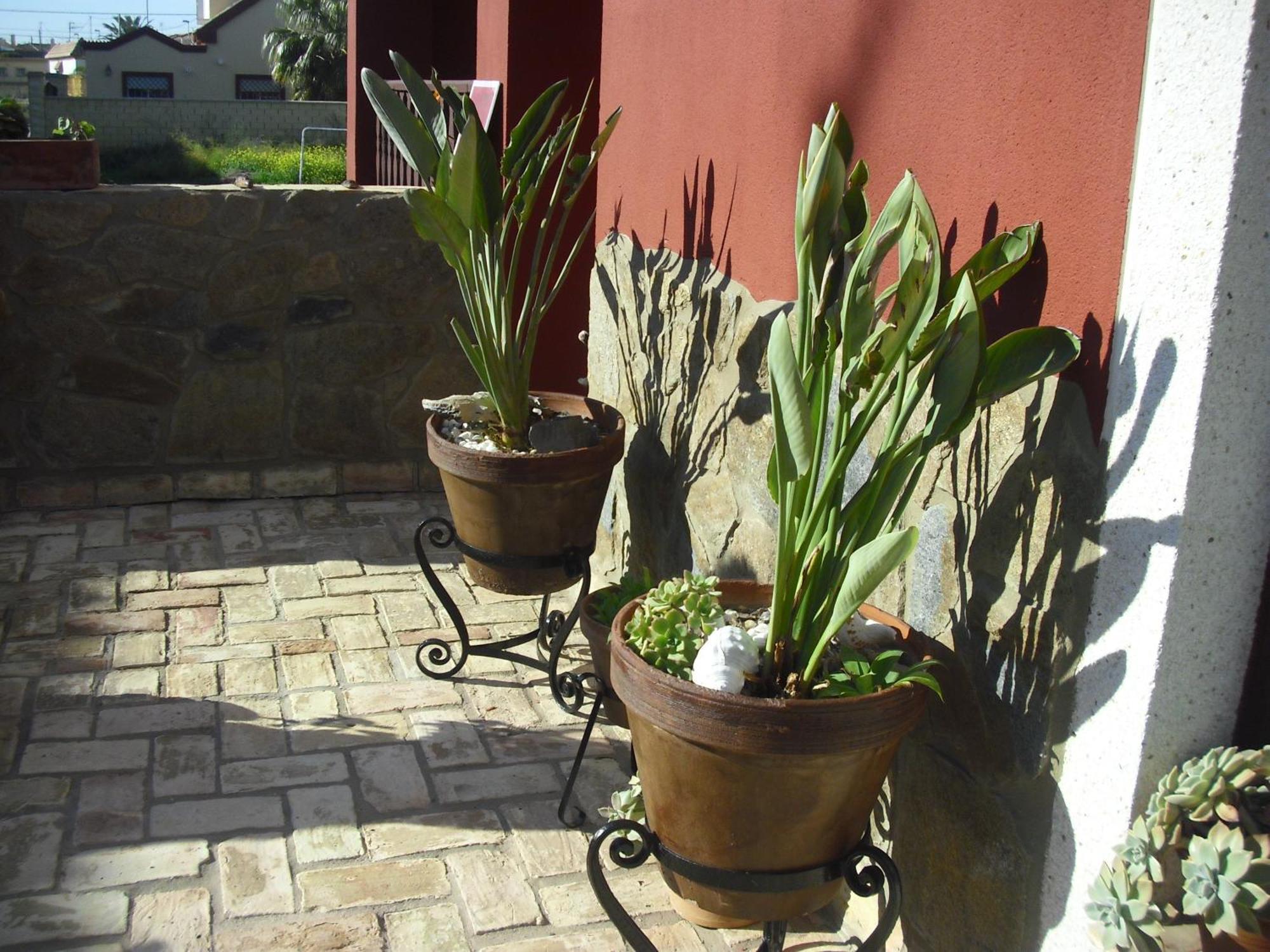 La Posada De Menchu Sanlúcar de Barrameda Esterno foto